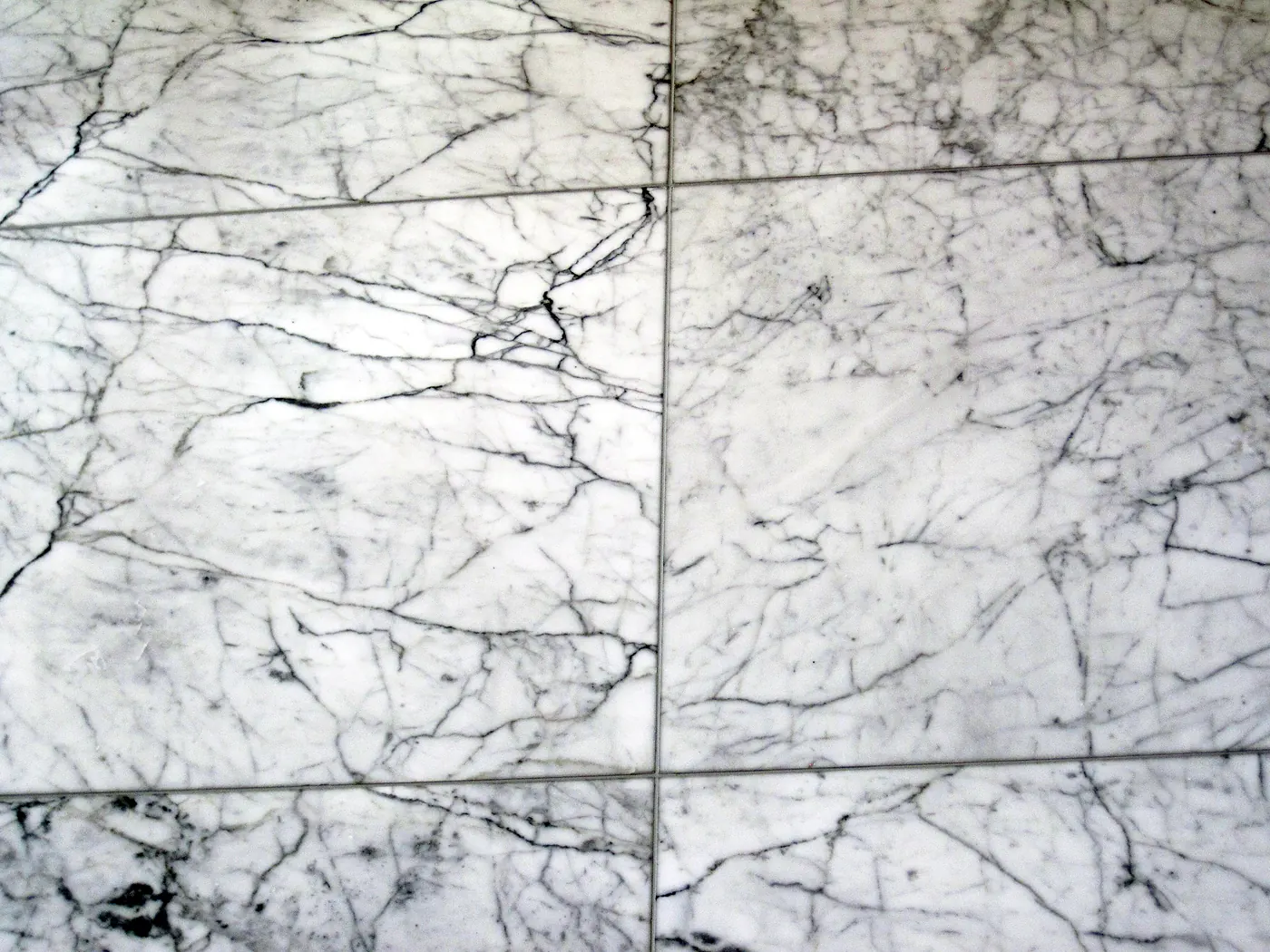 Marble, statuary, veined. Specimen plate III.04.